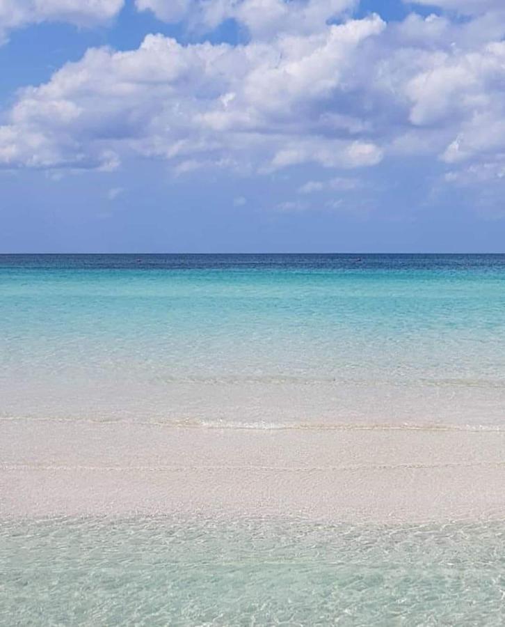 Manidibianco Apulian Relaxing Stay Turi Eksteriør billede